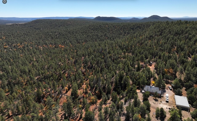 drone / aerial view with a mountain view