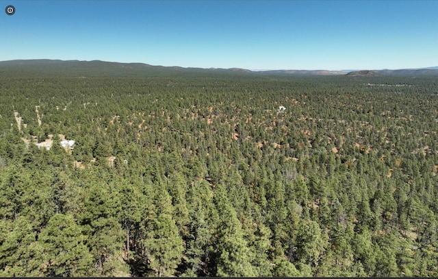 aerial view featuring a mountain view