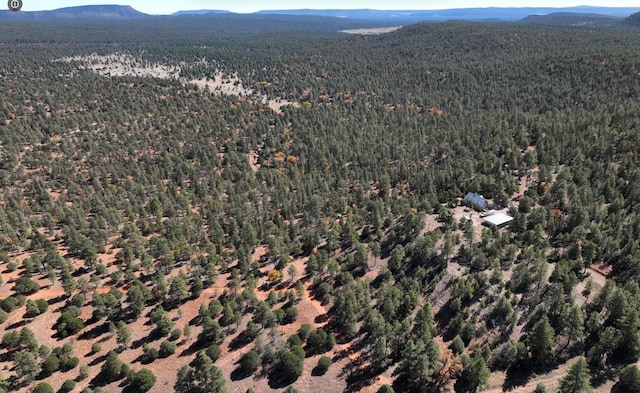 drone / aerial view with a mountain view