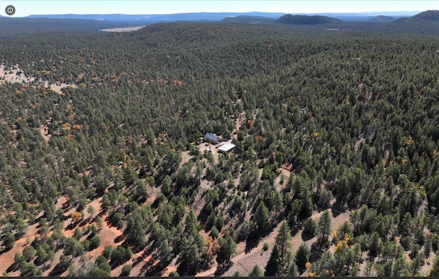 drone / aerial view with a mountain view