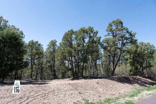 Listing photo 2 for 12 Los Pecos Trl, Tijeras NM 87059