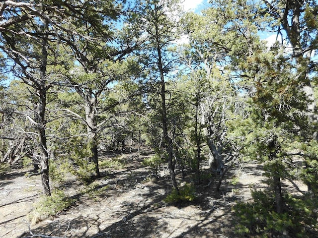 Listing photo 3 for 21 Cresta Vista Ct, Tijeras NM 87059