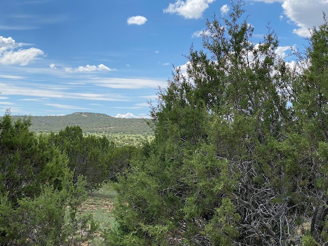 Listing photo 2 for Windhaven Ln, Edgewood NM 87015