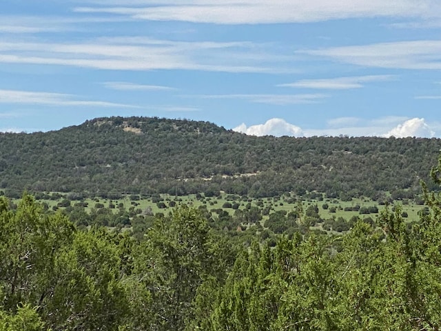 Listing photo 3 for Windhaven Ln, Edgewood NM 87015