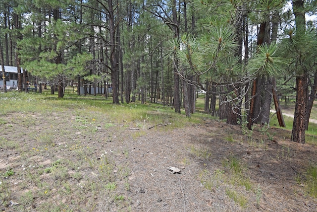 Listing photo 2 for LOTS2 Hidden Valley Rd, Jemez Springs NM 87025