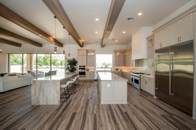 kitchen with a spacious island, a healthy amount of sunlight, hanging light fixtures, and premium appliances