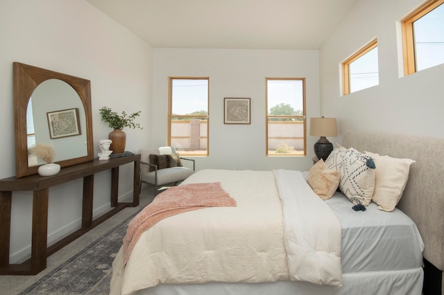 bedroom with dark carpet