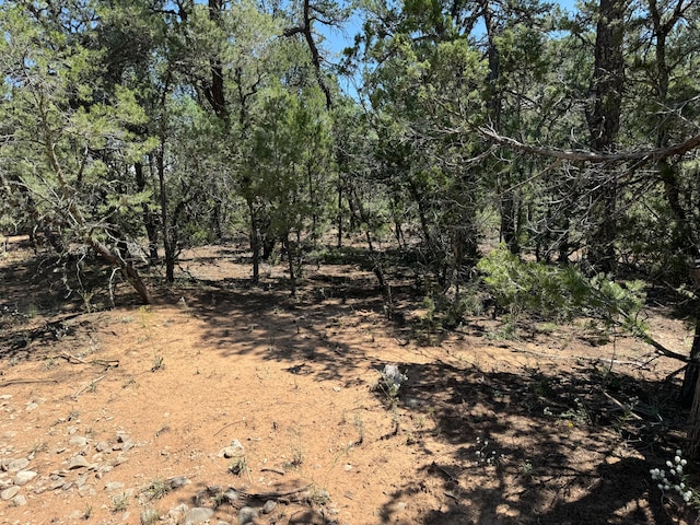 Listing photo 3 for 17 Camino Largo Rd, Tijeras NM 87059