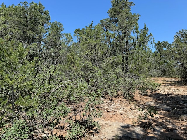 Listing photo 2 for 17 Camino Largo Rd, Tijeras NM 87059