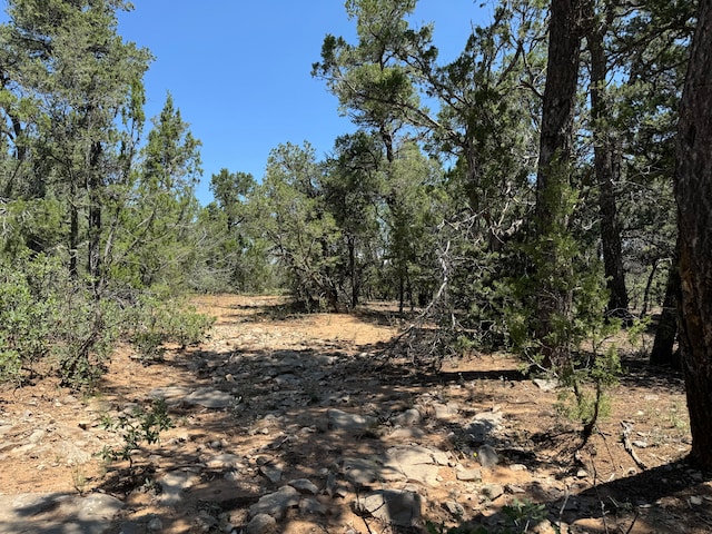 17 Camino Largo Rd, Tijeras NM, 87059 land for sale