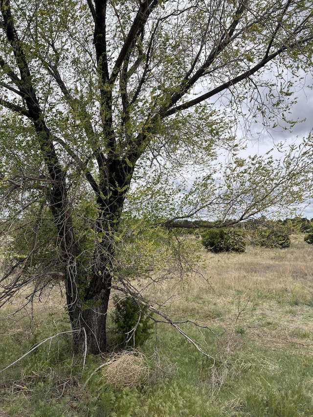 36 Entranosa Ln, Edgewood, NM 87015 - photo 3