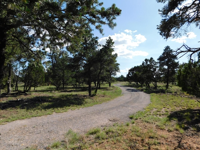 Listing photo 2 for LOT29 Spring Canyon Cir, Quemado NM 87829