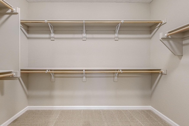 walk in closet with carpet