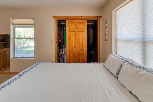 bedroom featuring a closet