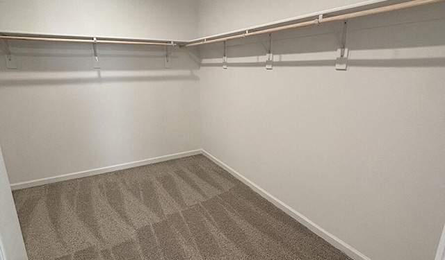 walk in closet featuring dark carpet