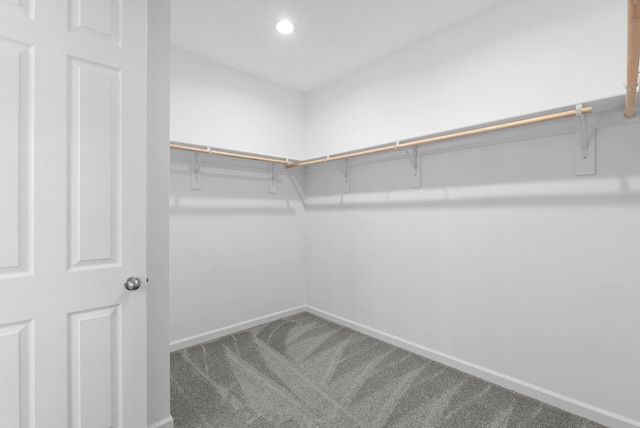 spacious closet with carpet floors