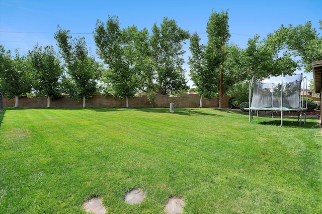 view of yard featuring a fenced backyard and a trampoline