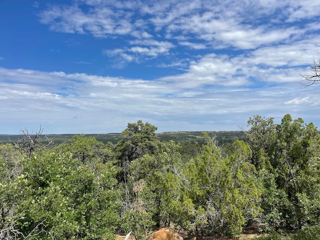 LOT48 Ridge Rd, Ramah NM, 87321 land for sale