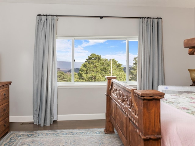 bedroom featuring multiple windows, a mountain view, and dark hardwood / wood-style flooring