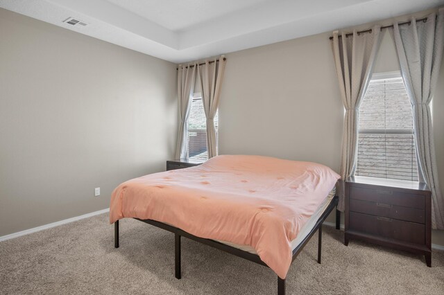 carpeted bedroom featuring a tray ceiling