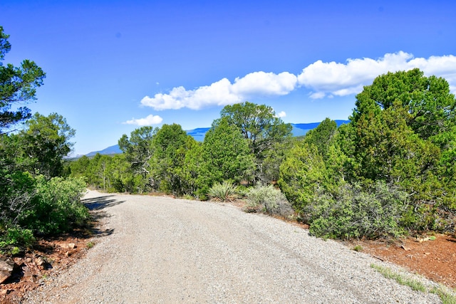 Listing photo 3 for 39 Camino De Avila, Tijeras NM 87059