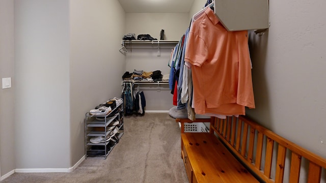 walk in closet featuring carpet