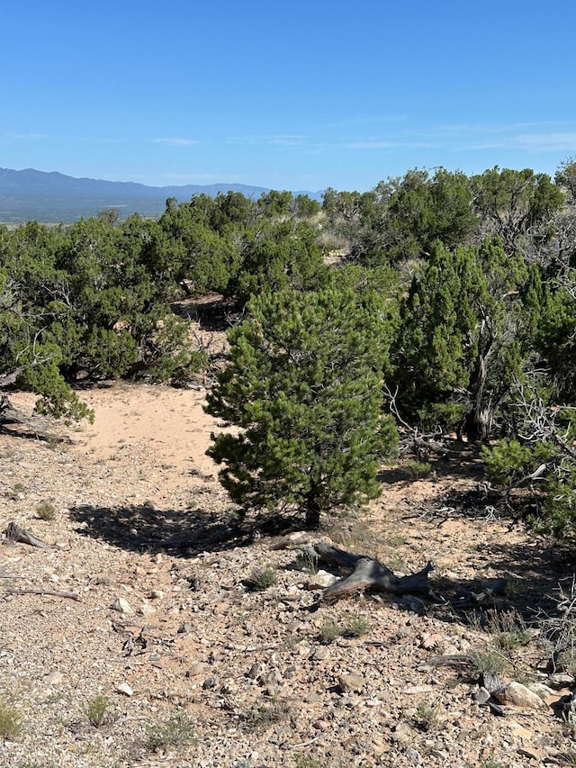 Listing photo 3 for 10 San Miguel Trl, Mountainair NM 87036