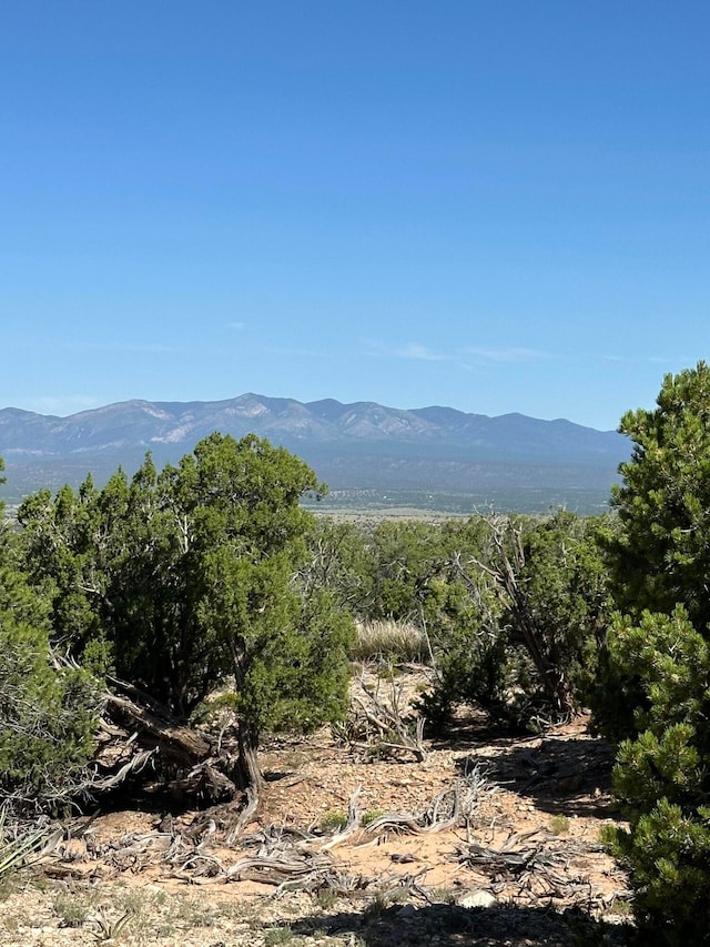 10 San Miguel Trl, Mountainair NM, 87036 land for sale