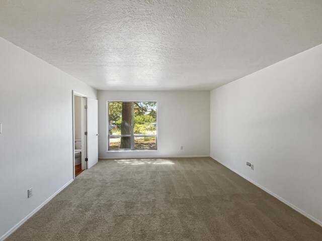 empty room with a textured ceiling and carpet floors