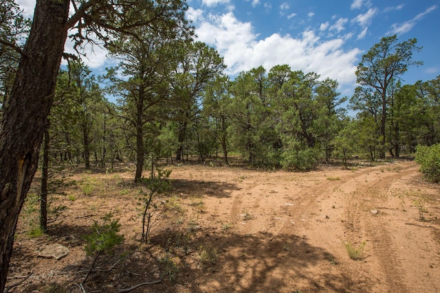 Listing photo 3 for 70 Anaya Rd, Tijeras NM 87059