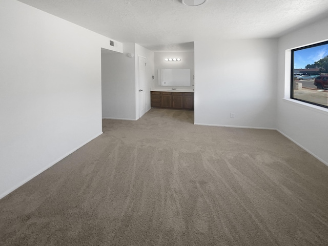 spare room featuring light carpet and a textured ceiling