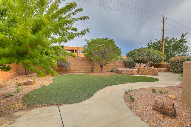 view of yard featuring a patio area and a fenced backyard