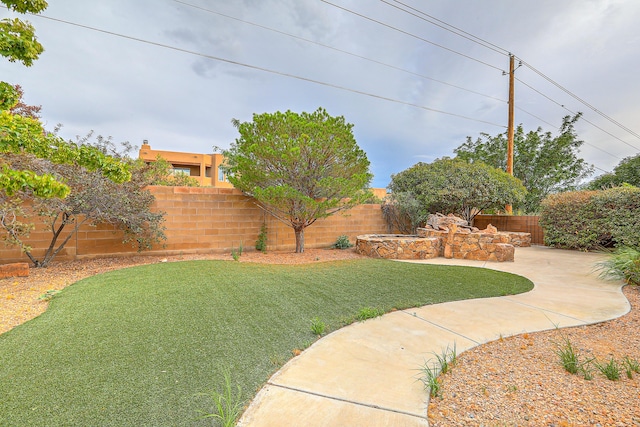 view of yard with a patio and a fenced backyard