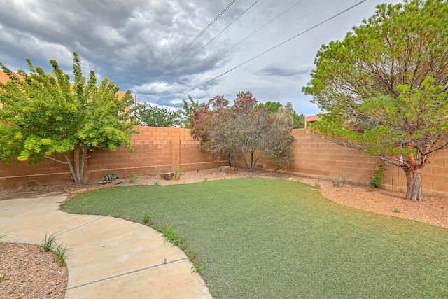 view of yard featuring a fenced backyard and a patio area