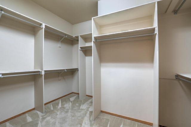 walk in closet with light carpet