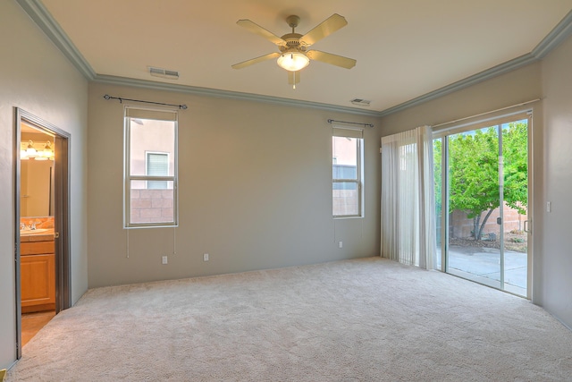 spare room featuring a wealth of natural light, visible vents, carpet, and ornamental molding