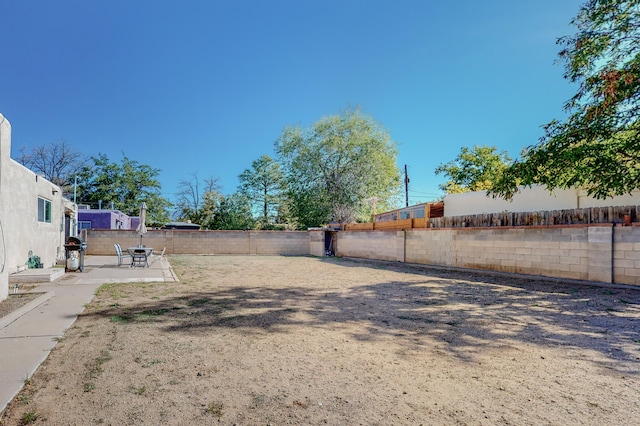 view of yard featuring a patio area