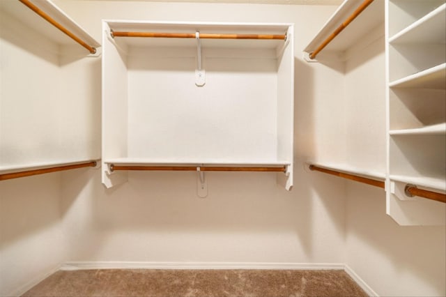 spacious closet with carpet