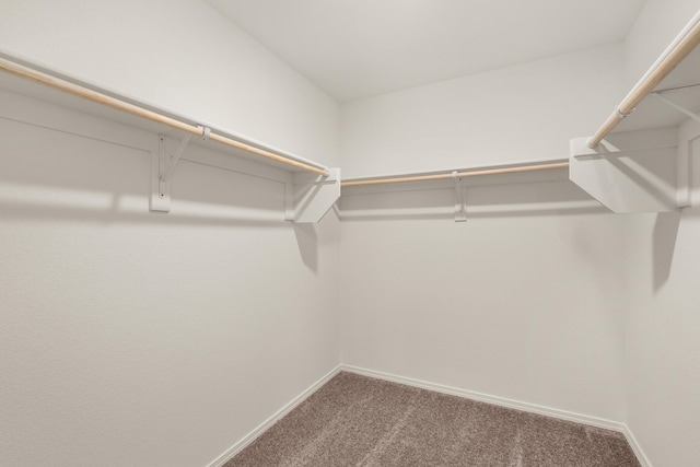 spacious closet with carpet