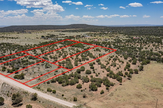 Camino Del Norte, Estancia NM, 87016 land for sale