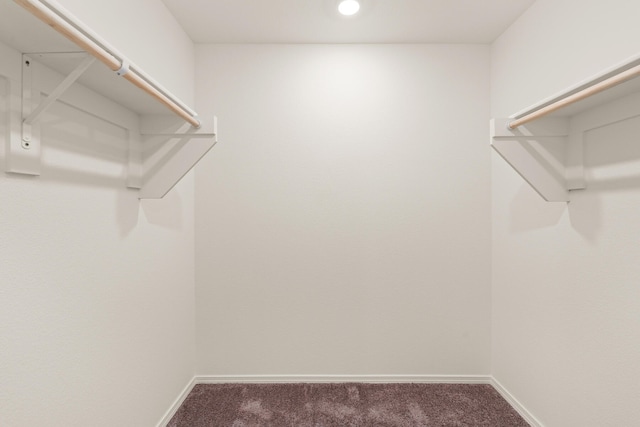 walk in closet with carpet floors