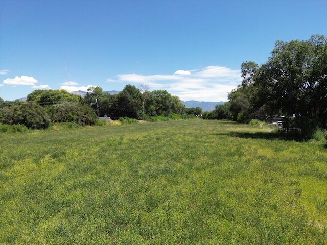 10119 Guadalupe Trl NW, Albuquerque, NM 87114 - photo 7