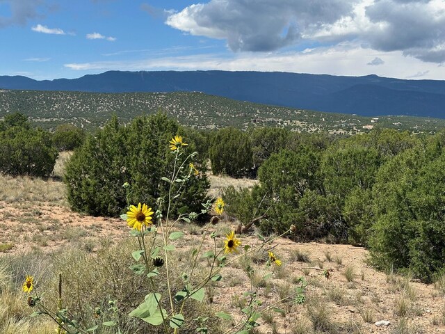 Listing photo 2 for 1 Gold Mine Trl, Sandia Park NM 87047