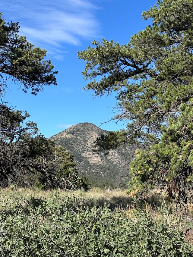 34 Lookout Cir, Datil NM, 87821 land for sale