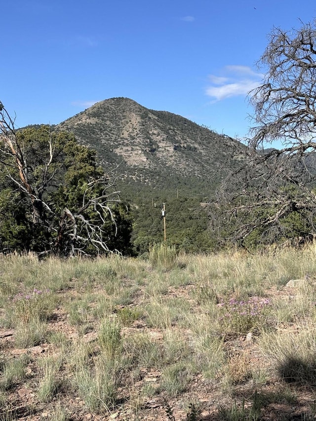 34 Lookout Cir, Datil, NM 87821