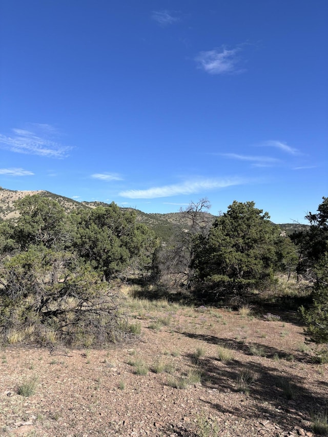 34 Lookout Cir, Datil, NM 87821