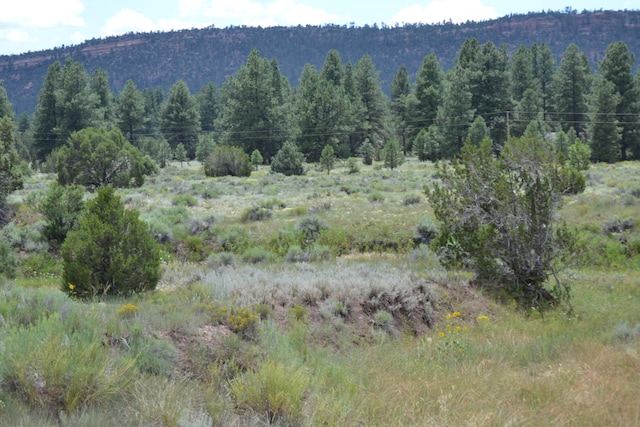 Timberlake Rnch, Ramah NM, 87321 land for sale