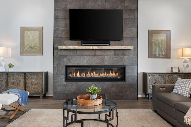 living room with a fireplace and wood-type flooring