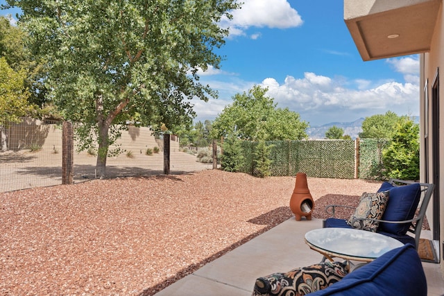 view of yard featuring a patio area