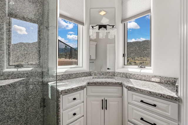 bathroom with a shower stall and vanity